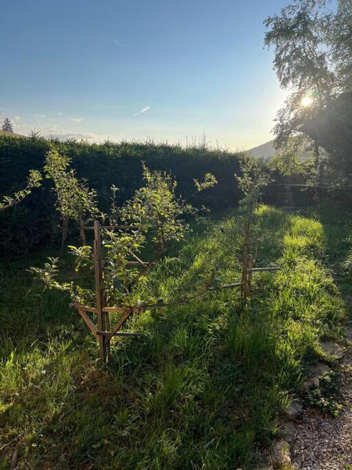 Nuit Insolite - La Cabane Du Haut-Doubs Les Gras Exterior foto