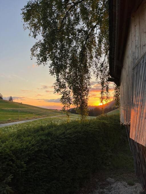Nuit Insolite - La Cabane Du Haut-Doubs Les Gras Exterior foto